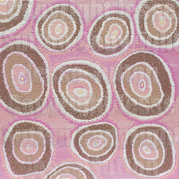 Bloodwood Nuts -  Kutjarnparru Pirrki-Pirrki
